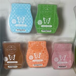 Scentsy Bundle (5 Bars)